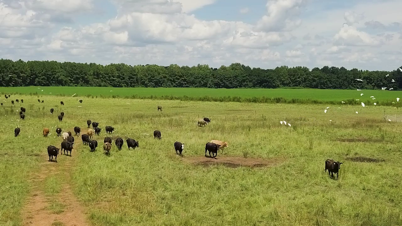 5 ON YOUR SIDE: Regenerative agriculture — Andover Health news