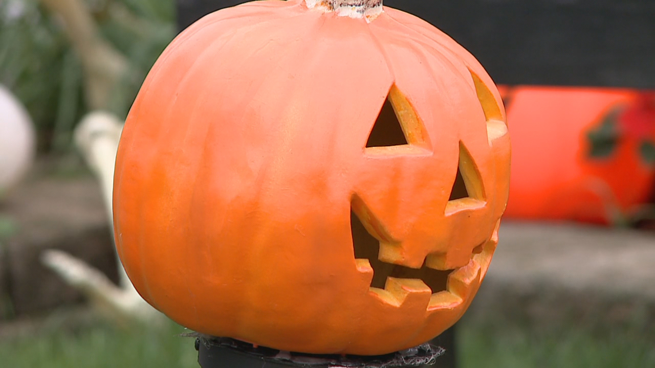 Things to do in Minnesota: 5 things to do this weekend (Oct. 30–Nov. 1) — Andover Community news